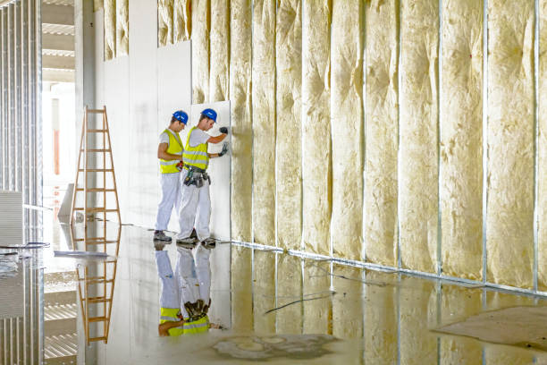 Professional Insulation Contractor in UT